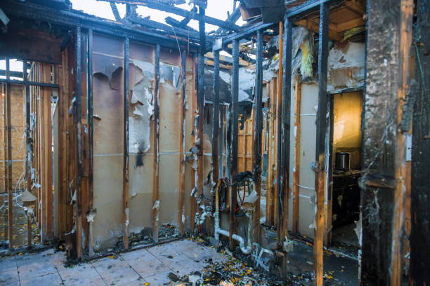 Professional Fire Damage Removal technician working in Woodville, TX