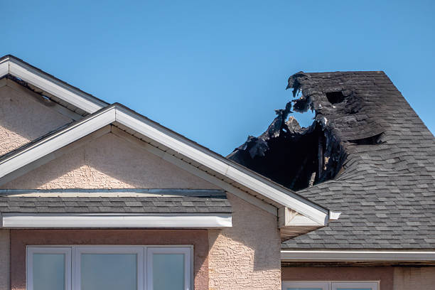 Top rated local Fire Damage Removal specialists in Woodville, TX